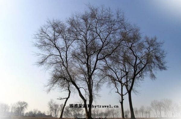 渭河源国家森林公园